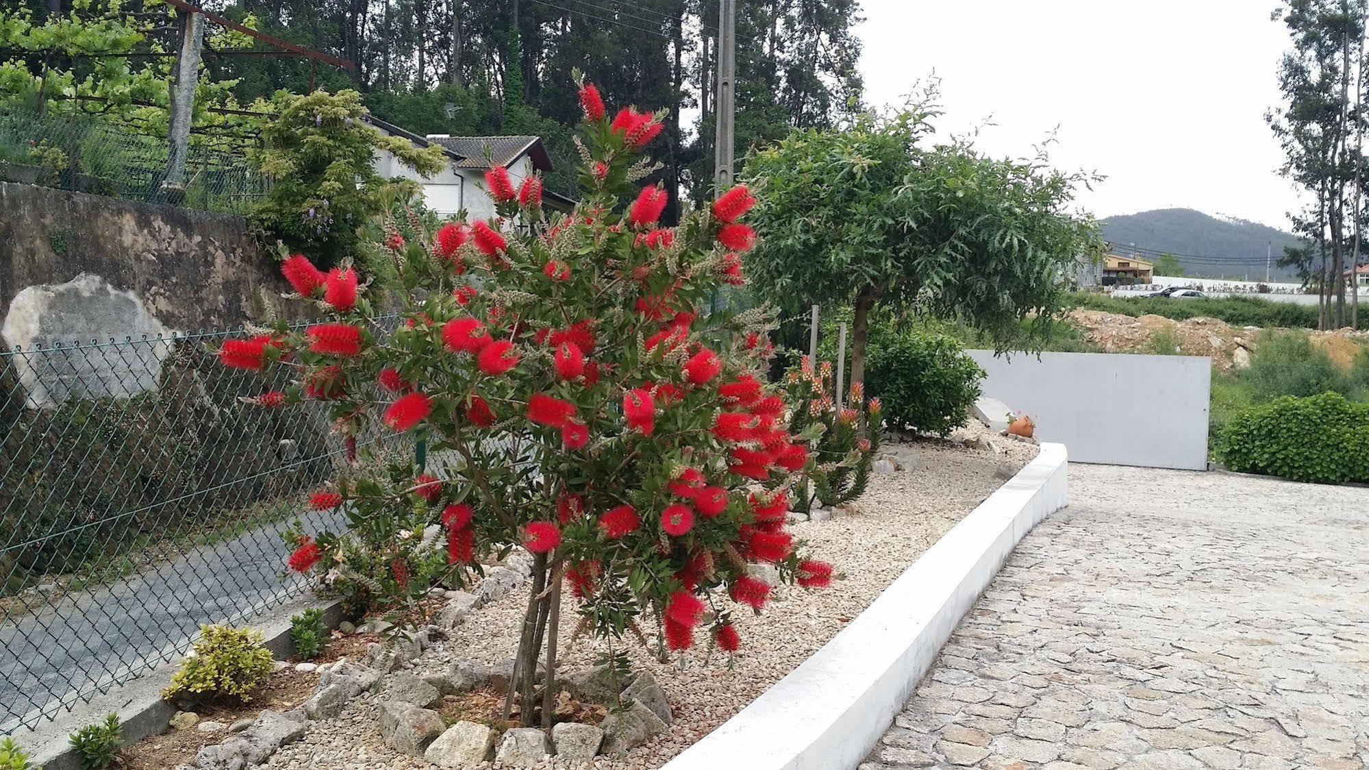 Casa Do Porto Carreiro Villa Oliveira de Azemeis Ngoại thất bức ảnh